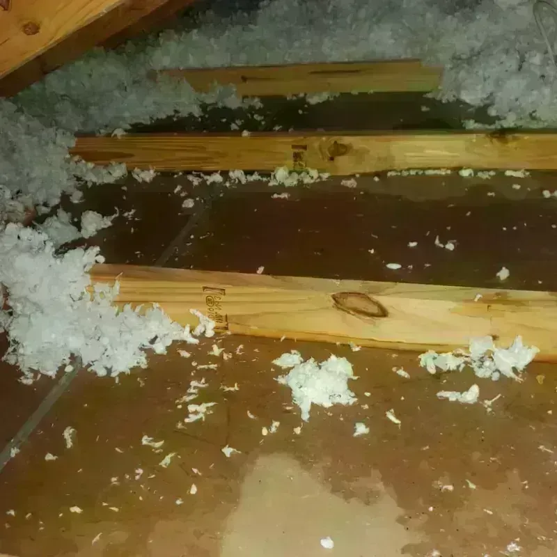 Attic Water Damage in Peru, IL